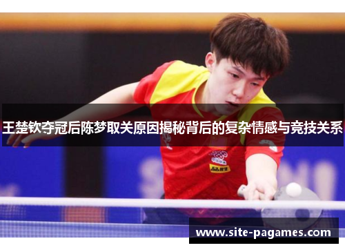 王楚钦夺冠后陈梦取关原因揭秘背后的复杂情感与竞技关系