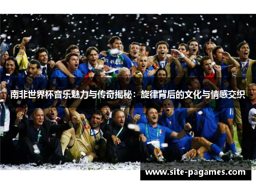南非世界杯音乐魅力与传奇揭秘：旋律背后的文化与情感交织