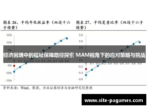经济困境中的福祉保障路径探索 MAM视角下的应对策略与挑战