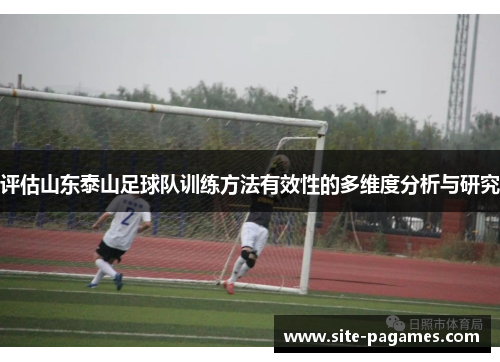 评估山东泰山足球队训练方法有效性的多维度分析与研究