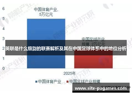 英联是什么级别的联赛解析及其在中国足球体系中的地位分析