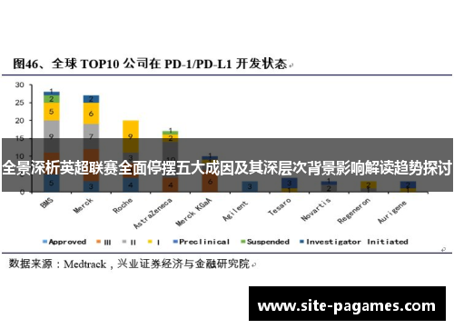 全景深析英超联赛全面停摆五大成因及其深层次背景影响解读趋势探讨
