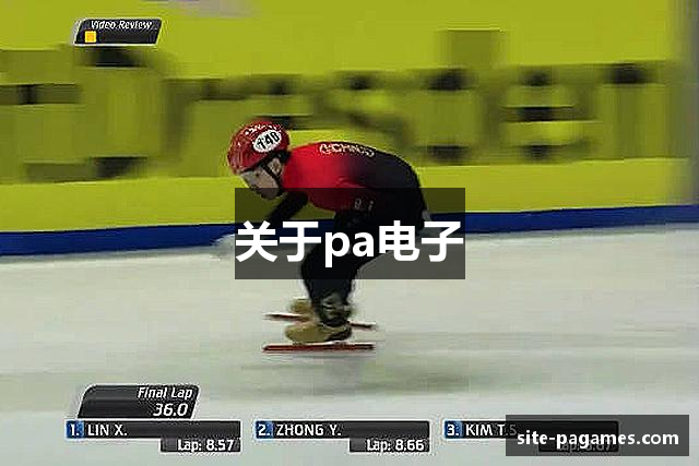 关于pa电子